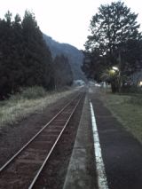 37428-5.jpg