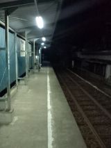 37431-1.jpg