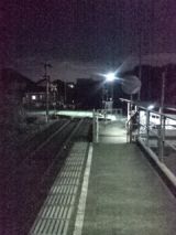 37437-1.jpg