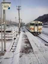 37445.jpg