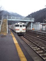37454.jpg