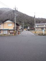 37455-1.jpg