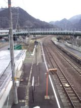 37457.jpg