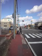 37462-5.jpg