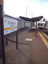 37462.jpg
