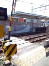 37463-6.jpg