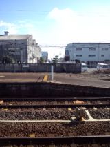 37465-3.jpg