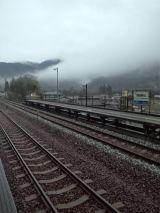 37485-1.jpg