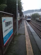 37485.jpg