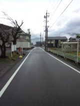 37537-6.jpg
