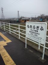 37540.jpg