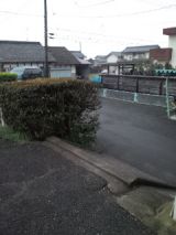 37541-1.jpg