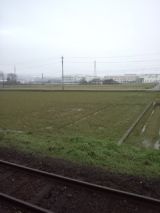 37541-2.jpg