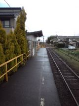 37542-1.jpg