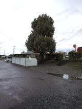 37543-2.jpg