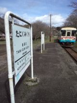 37554.jpg