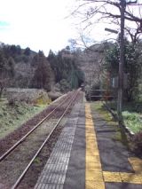37559-1.jpg
