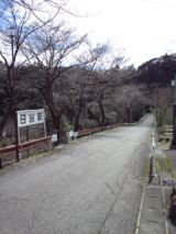 37559-3.jpg