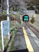 37559.jpg