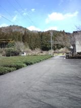 37560-4.jpg