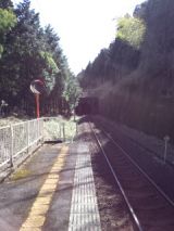37568-5.jpg