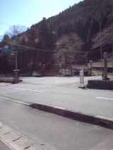 37568.jpg