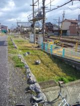 37589-4.jpg
