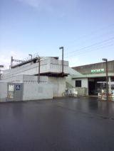 37594-6.jpg