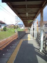 37595-1.jpg