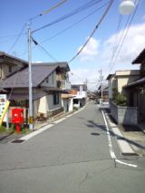 37596-5.jpg