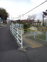 37597-3.jpg