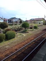 37599-1.jpg