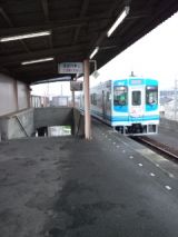 37610.jpg