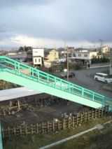 37616-4.jpg