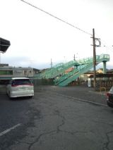 37616-6.jpg