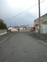 37616-7.jpg