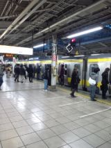37629.jpg