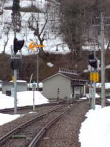 37647.jpg