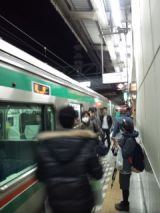 37663.jpg