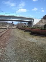 37688-7.jpg