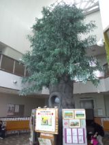 37690-4.jpg