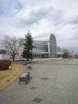 37690.jpg