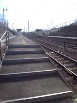 37694-3.jpg