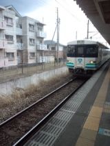 37697-5.jpg