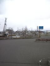 37698-7.jpg