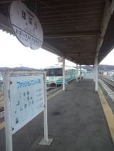 37701.jpg