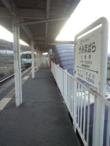 37704.jpg