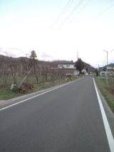 37706-4.jpg