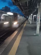 37709.jpg