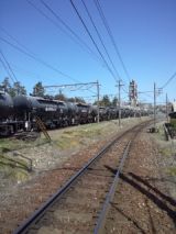 37777-6.jpg